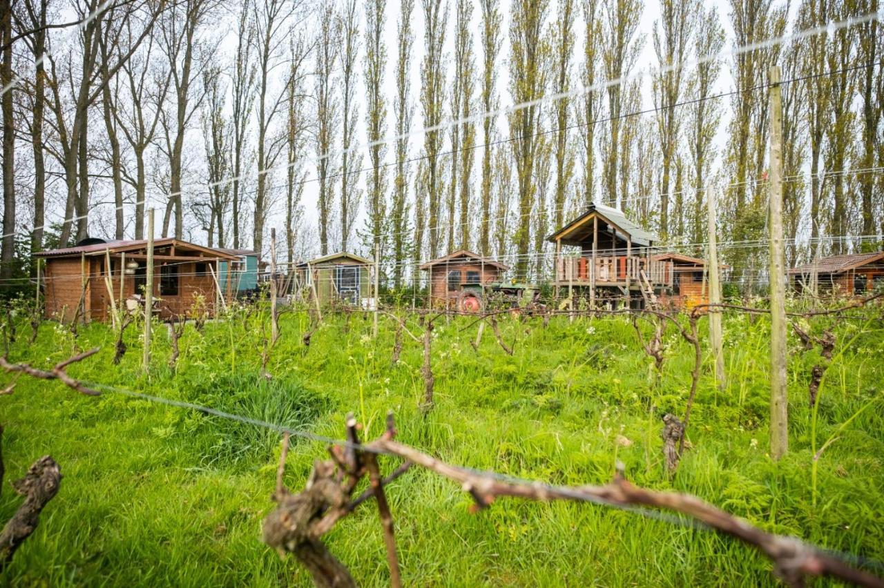 Wijndomein De Vier Ambachten -Overnachten In De Wijngaard Simonshaven Esterno foto
