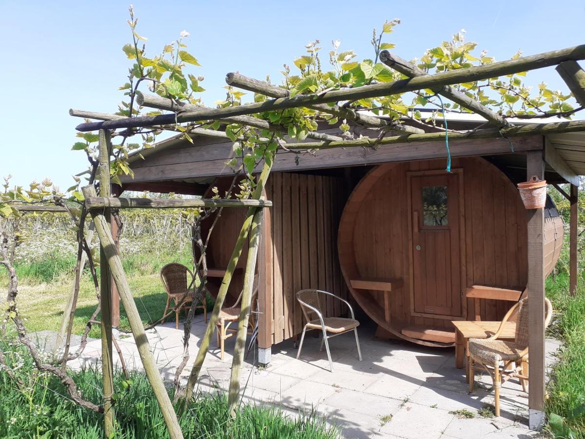Wijndomein De Vier Ambachten -Overnachten In De Wijngaard Simonshaven Esterno foto