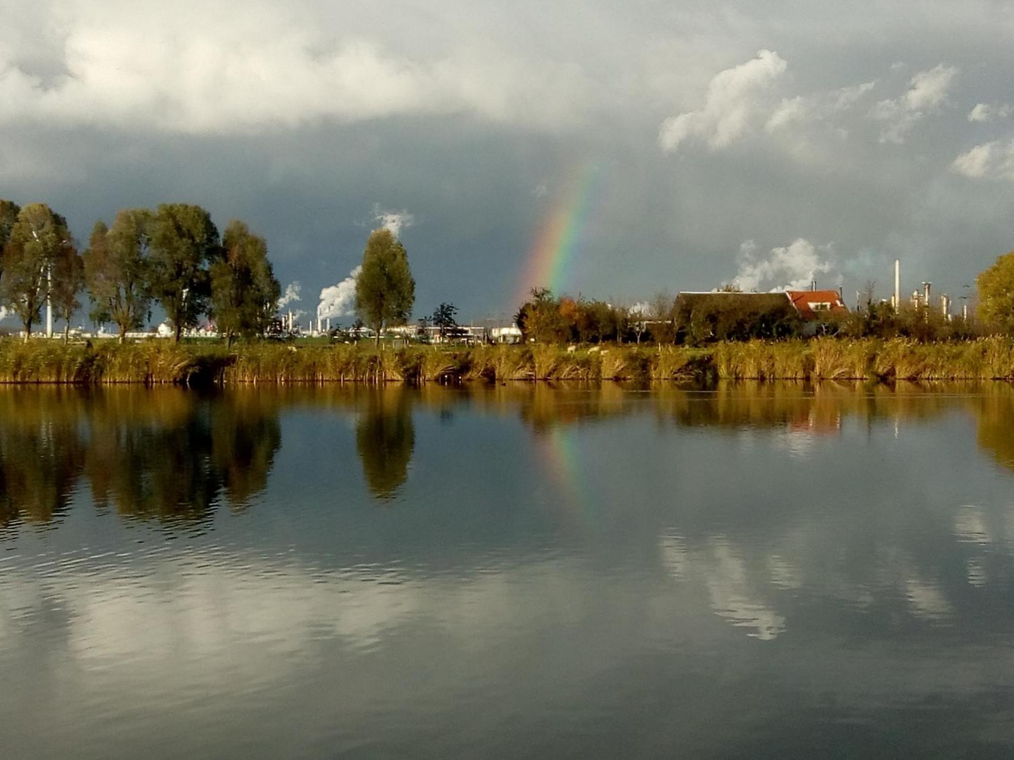Wijndomein De Vier Ambachten -Overnachten In De Wijngaard Simonshaven Esterno foto