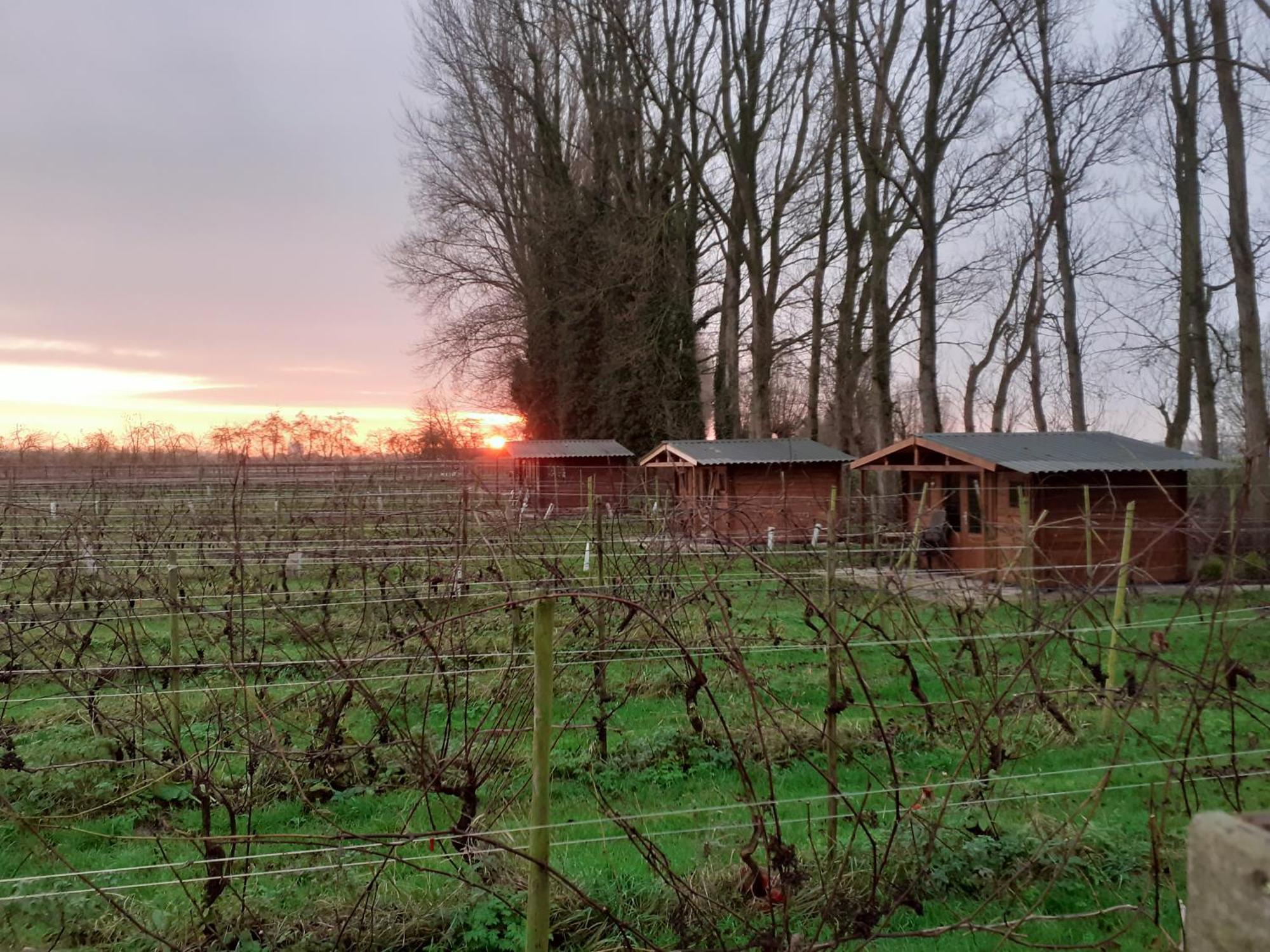 Wijndomein De Vier Ambachten -Overnachten In De Wijngaard Simonshaven Esterno foto