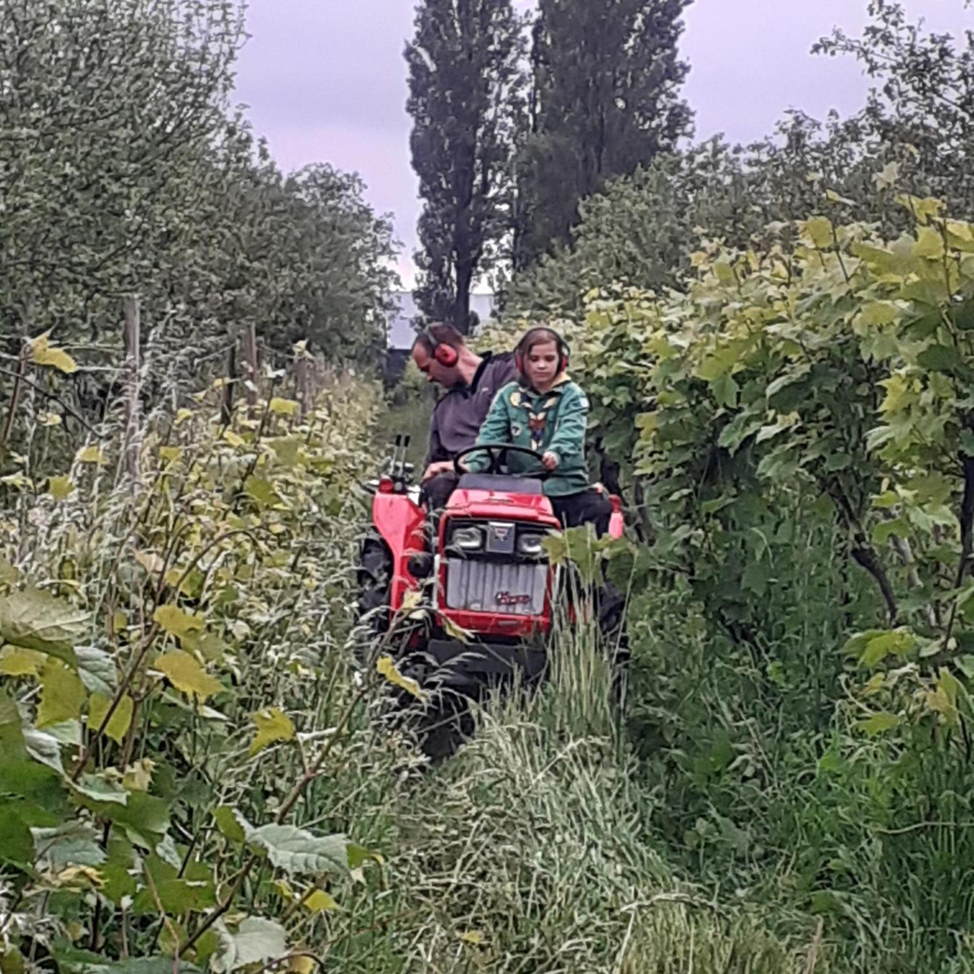Wijndomein De Vier Ambachten -Overnachten In De Wijngaard Simonshaven Esterno foto