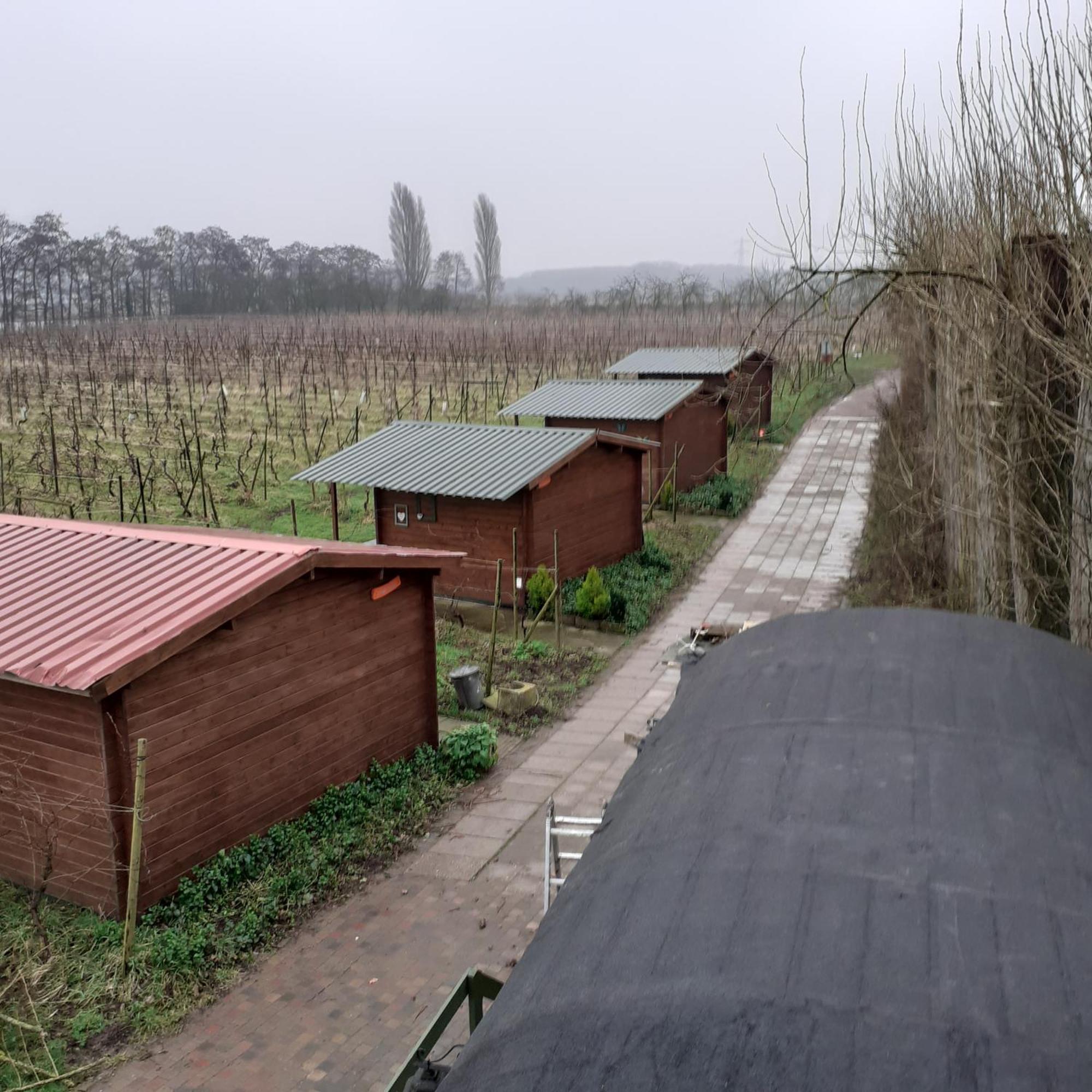 Wijndomein De Vier Ambachten -Overnachten In De Wijngaard Simonshaven Esterno foto
